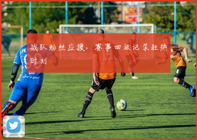 战队粉丝应援,赛事回放记录狂热时刻