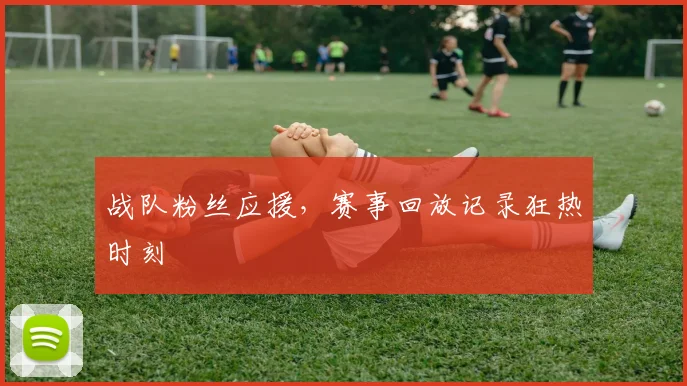 战队粉丝应援,赛事回放记录狂热时刻